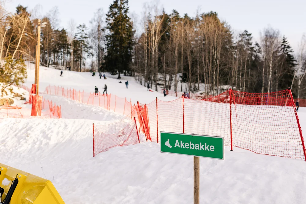 Rustagrenda Akebakke 1