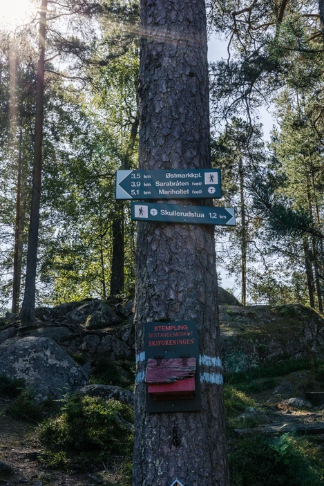 87e49b449e0b031bf5316aa84ecfd9ce47f49170