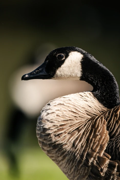 E1eba42131a96f6a3535e78de957f345477136eb