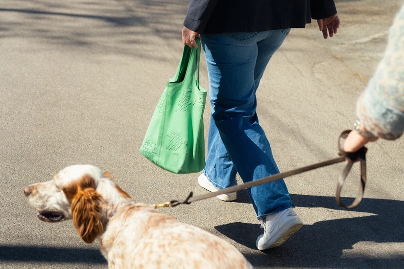 1a55723442b028cc4ba8bd927d241b120e4c1d39