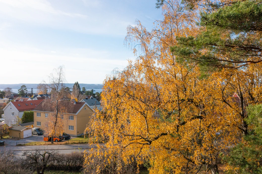 Bow Solon Eiendom Vaarli Drone 2024 0052