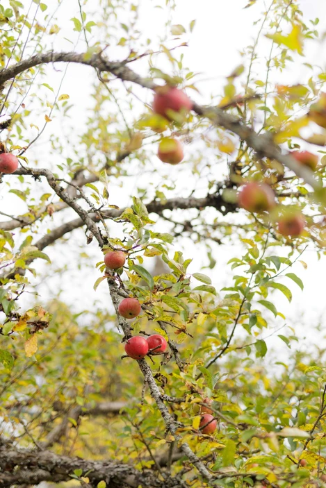 Vårli Badstudag 112