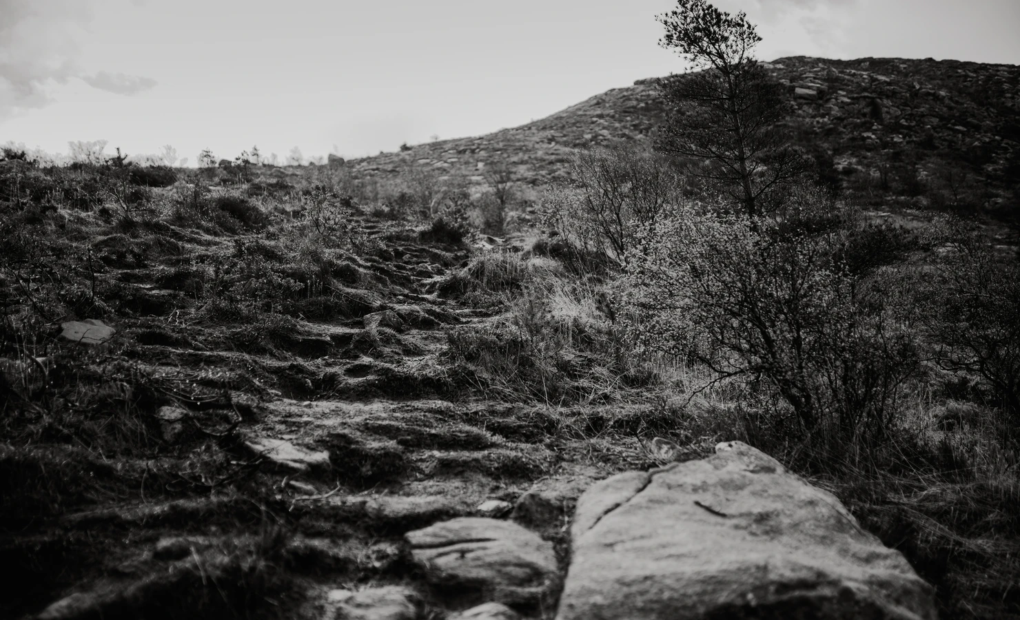 2ce40107c8e26c7f3c21772ff1fbf774288c3032